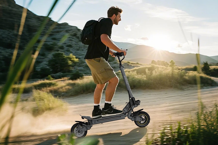 What are the types of electric scooters?