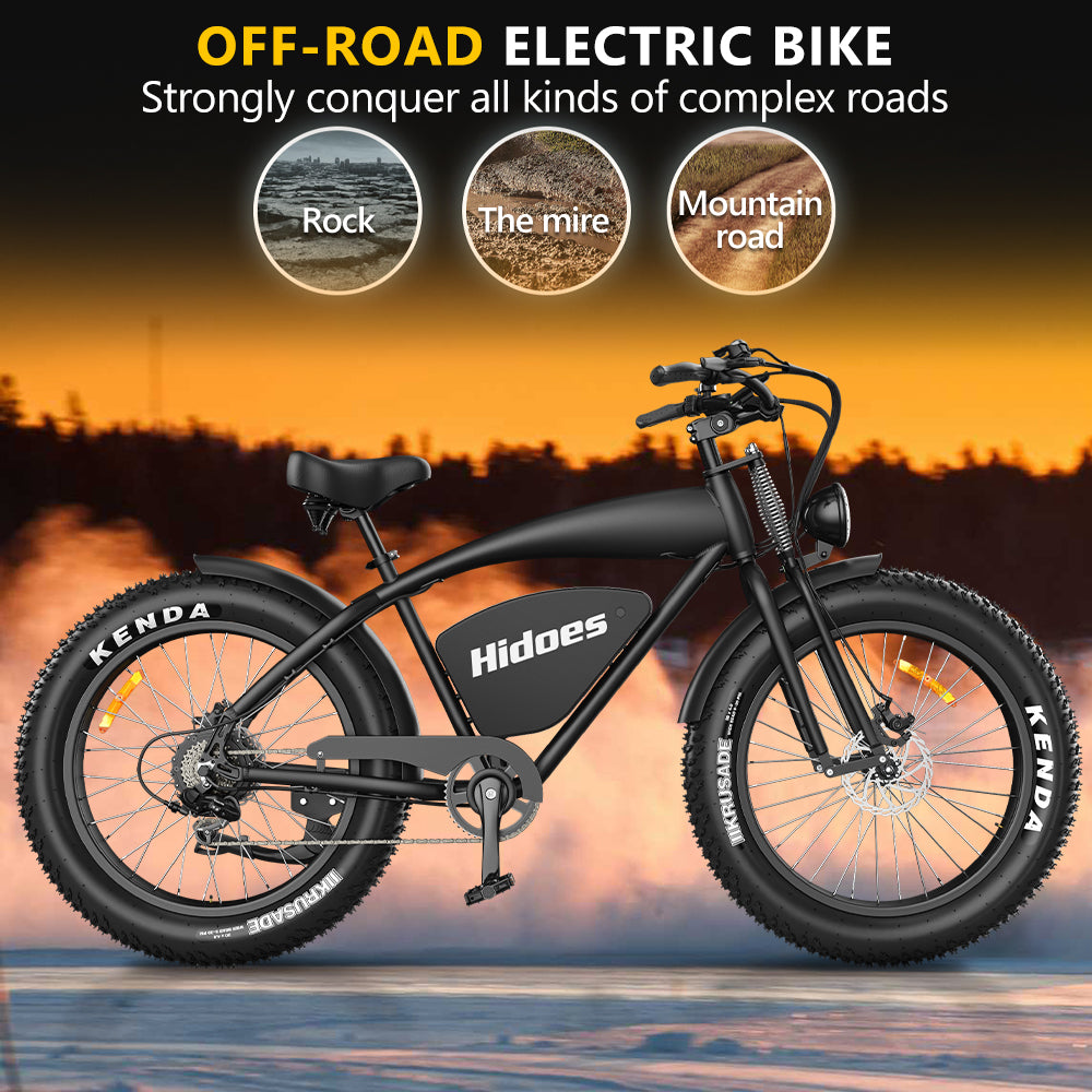 Hidoes B3 Fat Tire Electric Bike off road all terrain