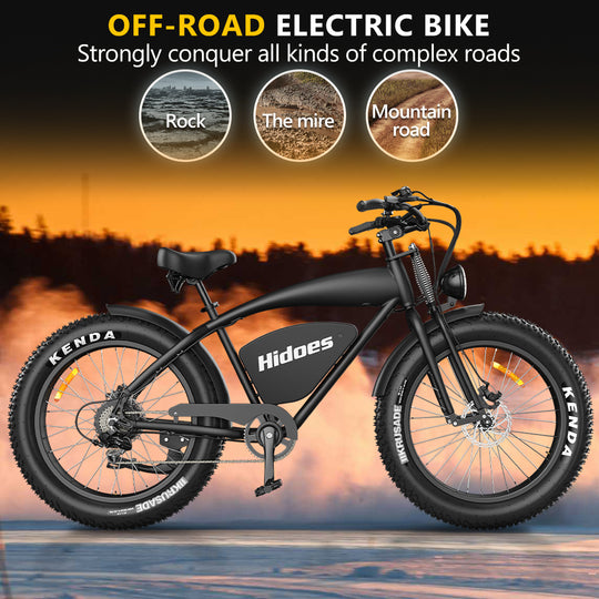 Hidoes B3 Fat Tire Electric Bike off road all terrain