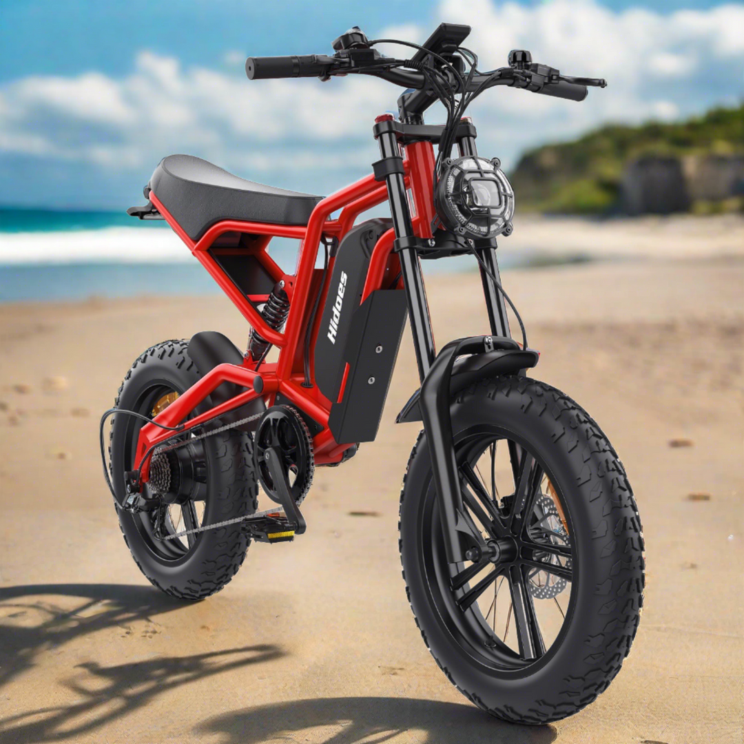 Vélo électrique Hidoes B6 1200W pour adultes, vélo électrique à gros pneus 20 "x 4", batterie 48V 15Ah, vitesse 50 km/h, charge maximale 150 kg