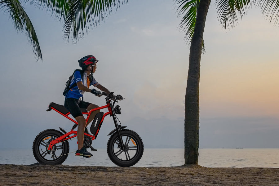 Hidoes B6 1200w electric bike for adults, a man riding near the sea
