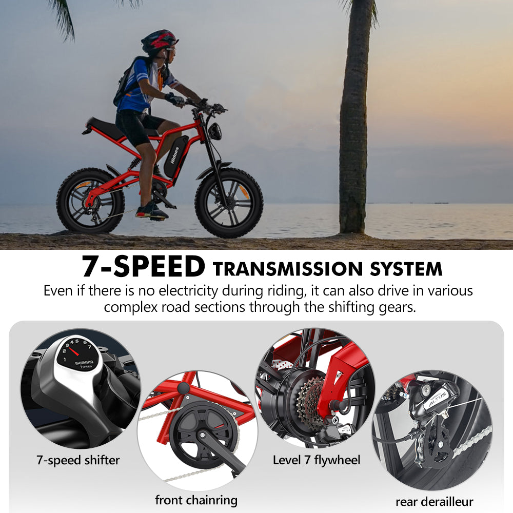 Hidoes B6 1200w electric bike for adults with Shimano 7-speed transmission