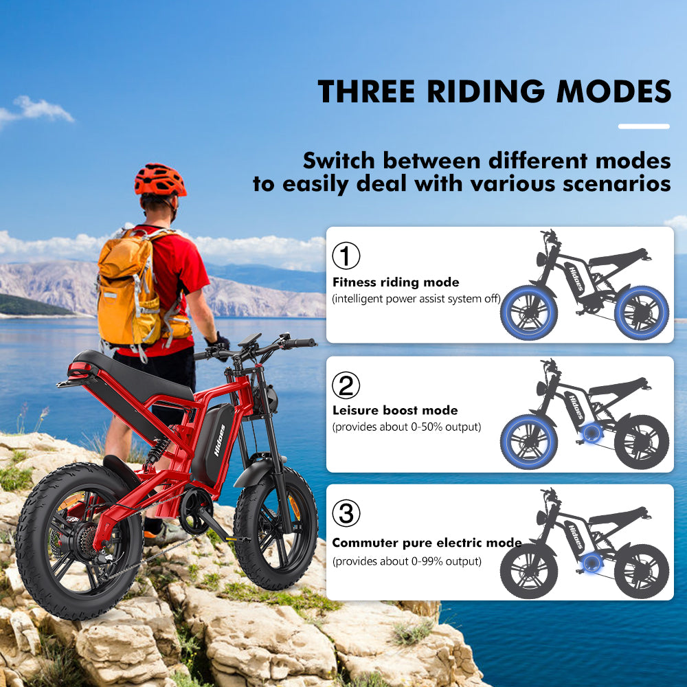 Hidoes B6 1200 W Elektrofahrrad für Erwachsene mit 3 Fahrmodi: E-Bike, normales Fahrrad und Fahrrad mit Tretunterstützung