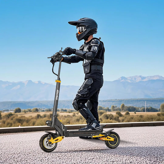 iENYRID ES1 Dual Motor Electric Scooter For Adults