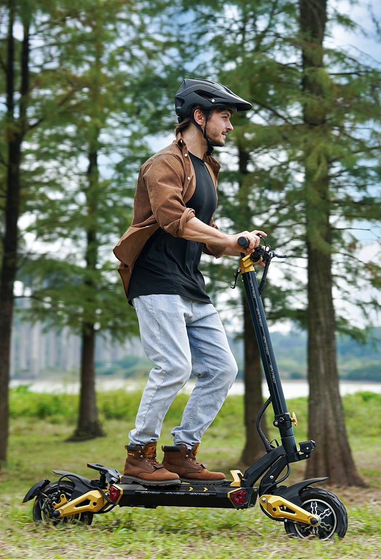 iENYRID ES60 2400W dual motor electric scooter